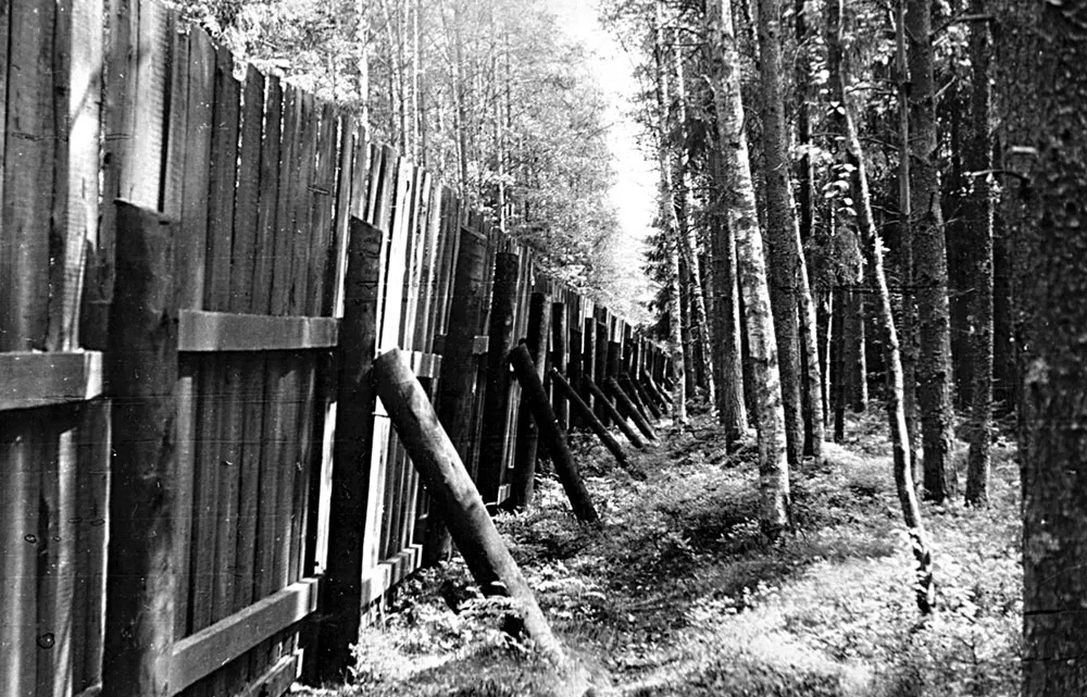 Забор кладбища (вид изнутри) и собачья охранная тропа. Июнь 1990 года.