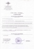 Штамм Елена Валентиновна