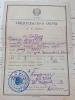 Вайсброт Даниил Андреевич