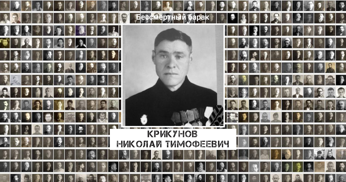 Крикунов Николай Тимофеевич