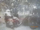 Каписко Михаил Александрович