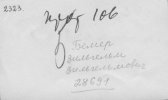 Бемер Вильгельм Вильгельмович