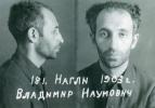 Нагли Владимир Наумович