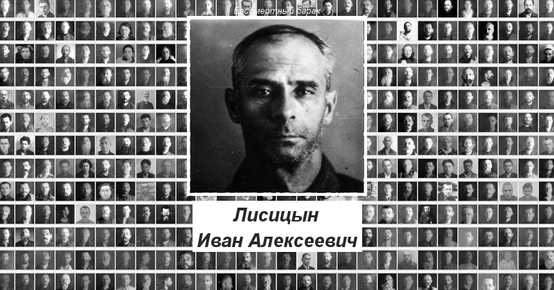 Ю п лисицын история медицины. Фамилия лисицын. Фамилия лисицын. Фамилия лисицын. История медицины лисицын.