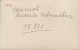 Соколов Никита Иванович