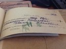 Пашкевич Иван Иванович