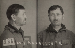 ВОРОБЬЕВ Николай Иванович