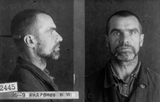 Андронов Василий Петрович