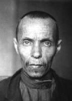 ДОЛМАНОВ ТИХОН ФИЛИППОВИЧ