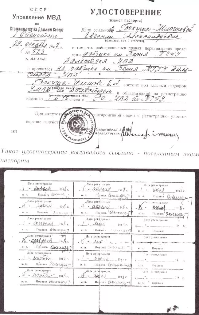 Гаркуша-Ширшова Евгения Александровна